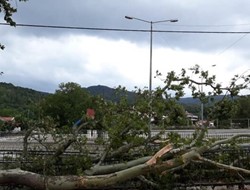 Ζημιές στην Κέρκυρα από την κακοκαιρία